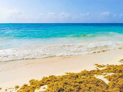 Transportation to Playa Mujeres